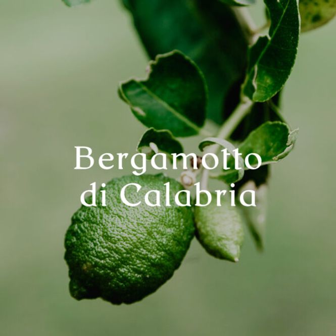 Huvudbild Bergamotto Di Calabria Kropp och Hand tvål 500 ml