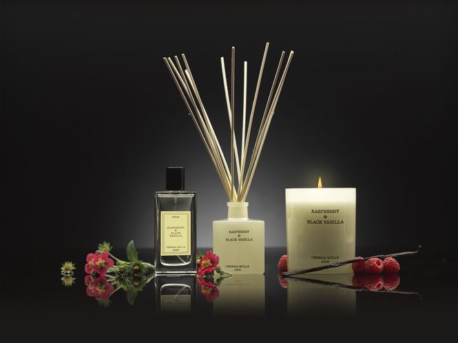 Huvudbild Raspberry & Black Vanilla Mini doftljus 70g